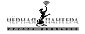 Чёрная пантера